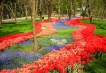    - PLD Travel